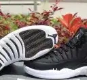 Air Retro Wings Jordan 12 Authentic 0519